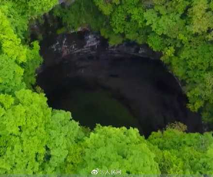 首次！漢中天坑群發現大量古生物化石