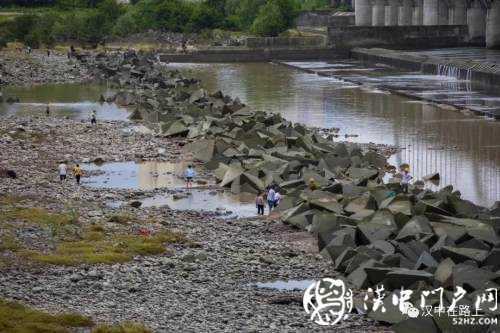 汛期漢中三號橋河灘撈魚，真的沒有危險嗎？