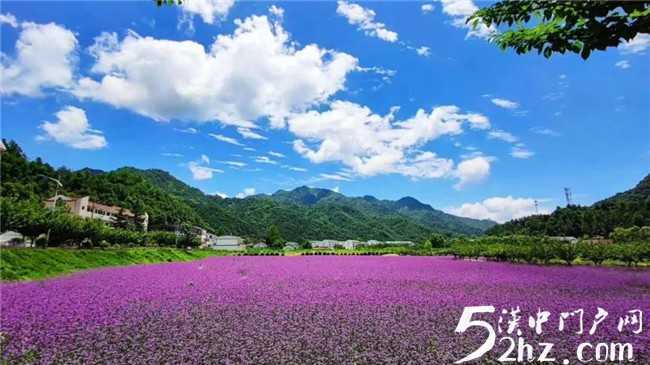 留壩開始全面探尋康養，旅居