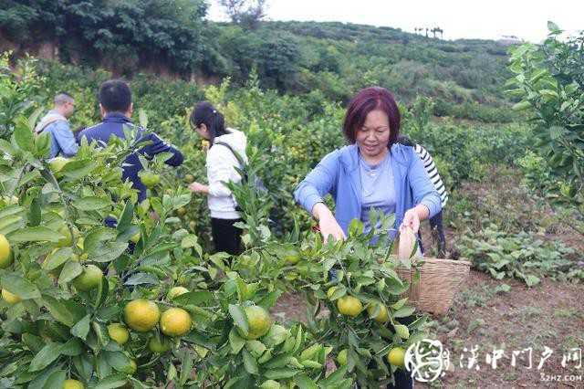 漢中市醫保局聯合開展消費扶貧和團隊建設活動