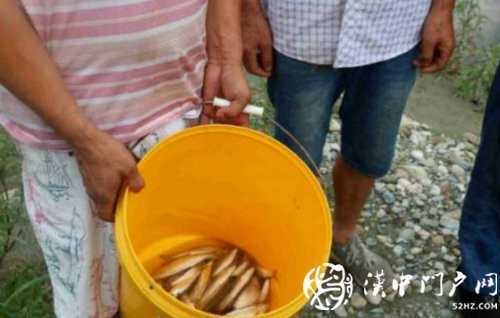 三人在河道非法電魚，被寧強(qiáng)民警抓個(gè)正著