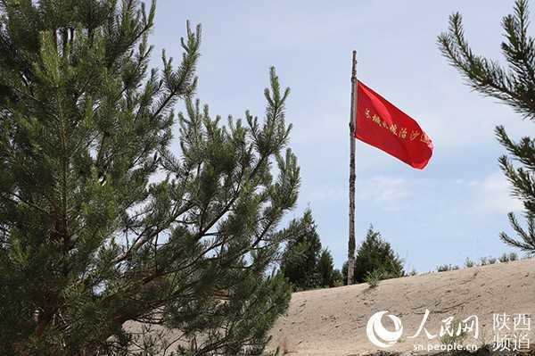 陜西：“綠進沙退” 毛烏素千年沙海變綠洲