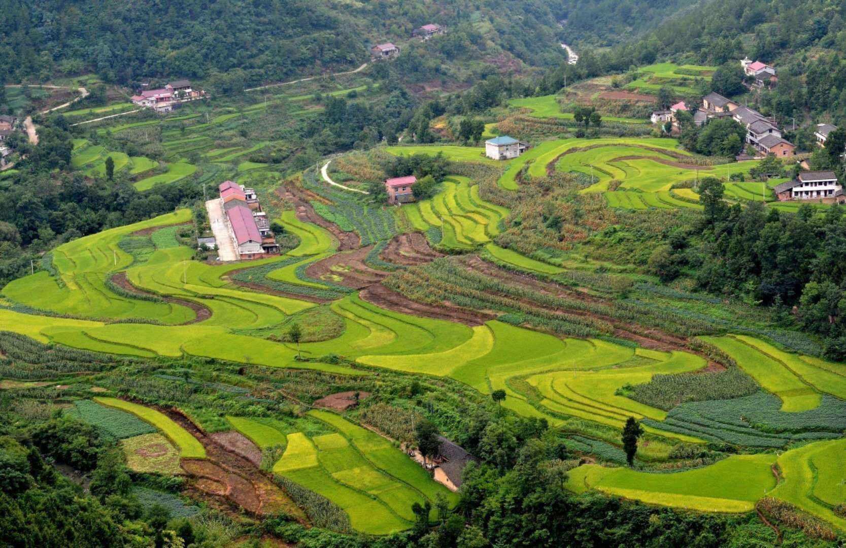 寧強縣石壩子村：巴山深處的“網紅村”