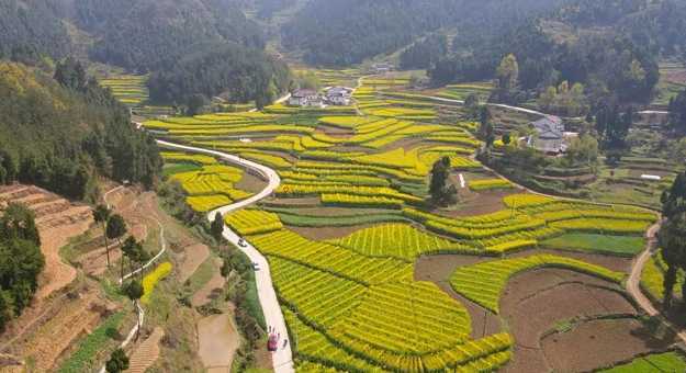 藏不住的梯田風光！漢中媒體采風團走進勉縣新鋪鎮漩水坪村