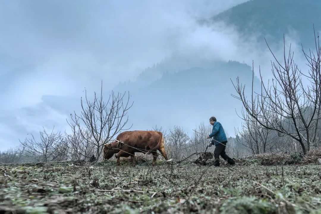 在漢中，這定是您向往的冬日生活！