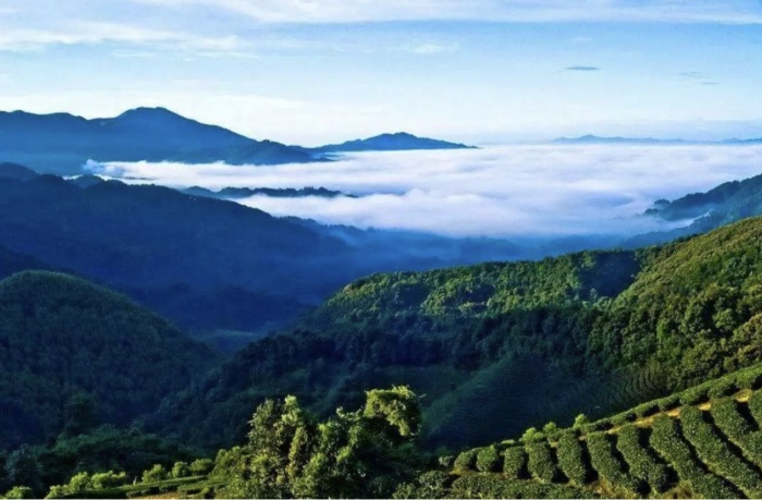 詩意鎮巴！這條醉美旅游線路私藏了萬千田園風光！