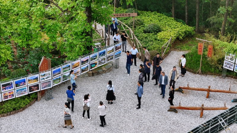 “綠色山鄉 美好畫卷”中省市媒體和網絡媒體系列采訪活動在略陽啟動