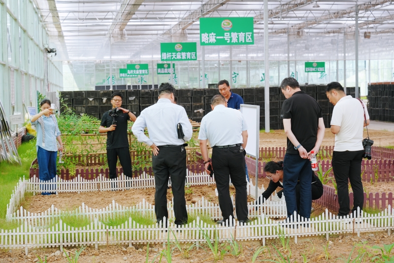 “綠色山鄉 美好畫卷”中省市媒體和網絡媒體系列采訪活動在略陽啟動