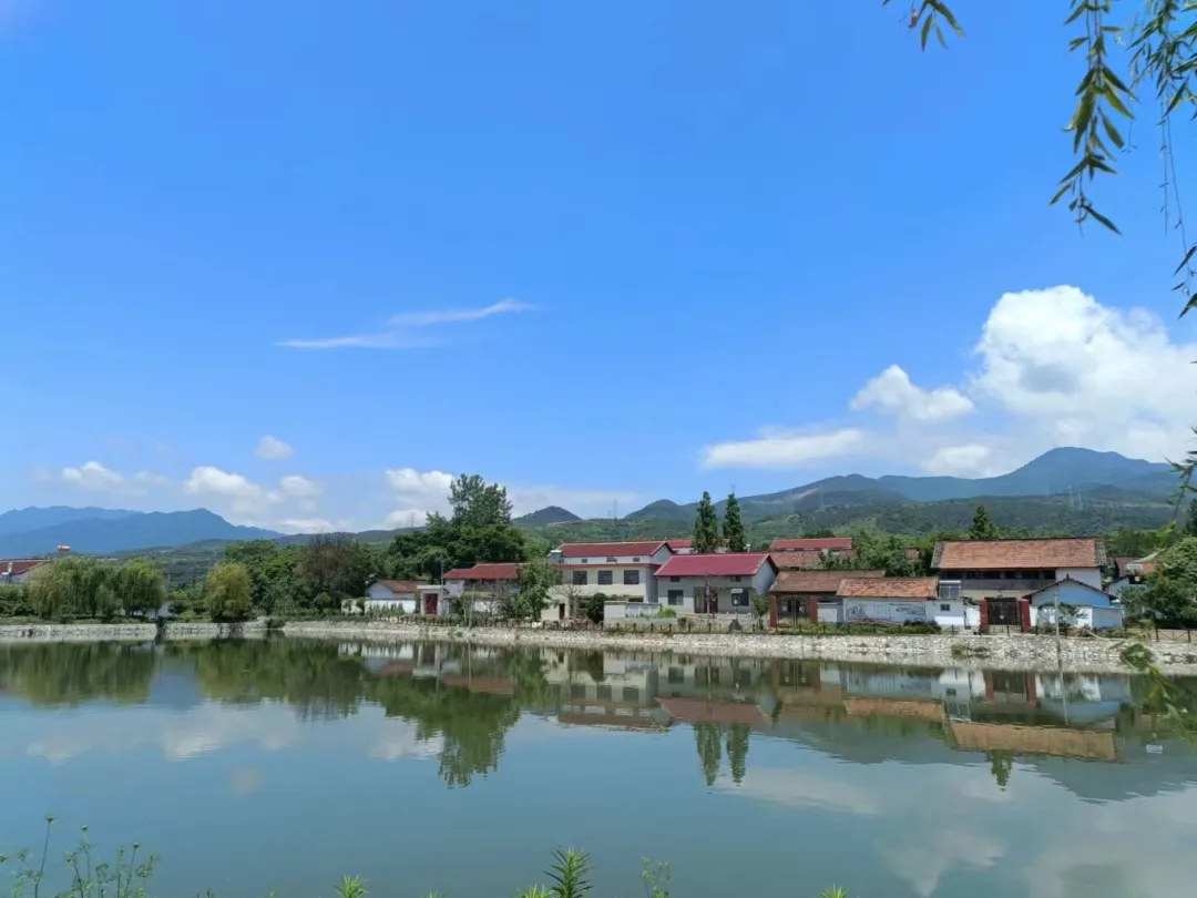 漢臺區宗營鎮楊家山村：泥墻房變身“黃金屋”