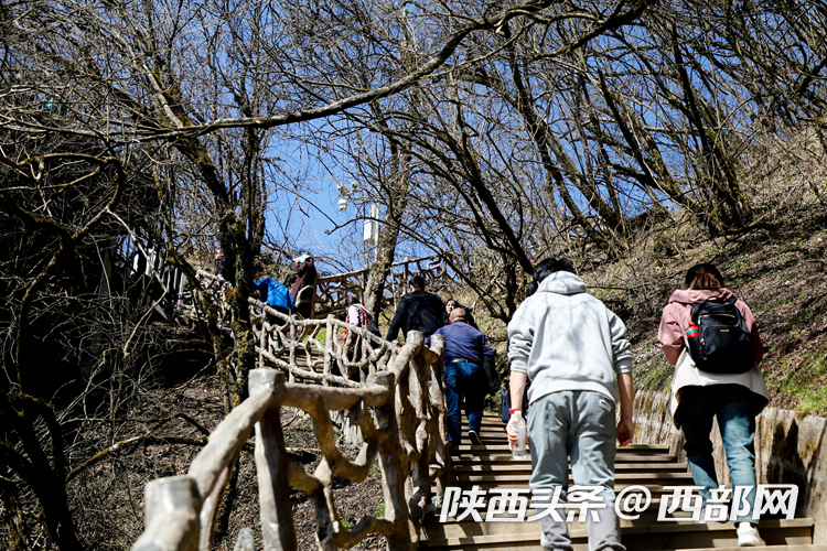 生態高顏值·發展高質量｜云端仙境 四季可賞 漢中龍頭山風光無限好