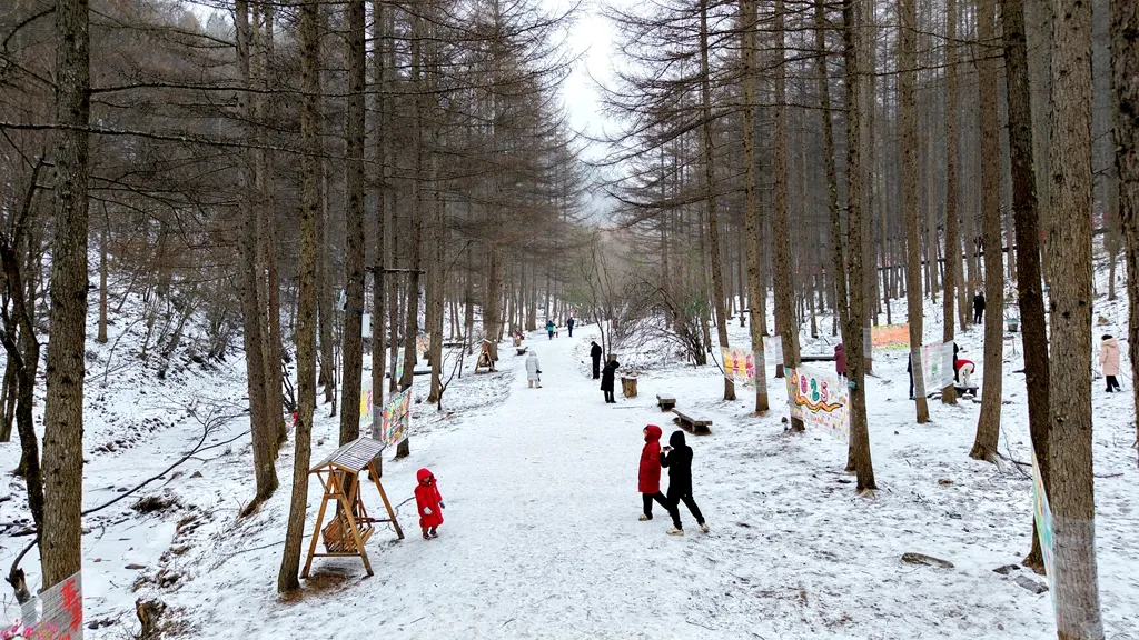 滑雪、戲雪、賞民俗！留壩景區(qū)“上才藝”