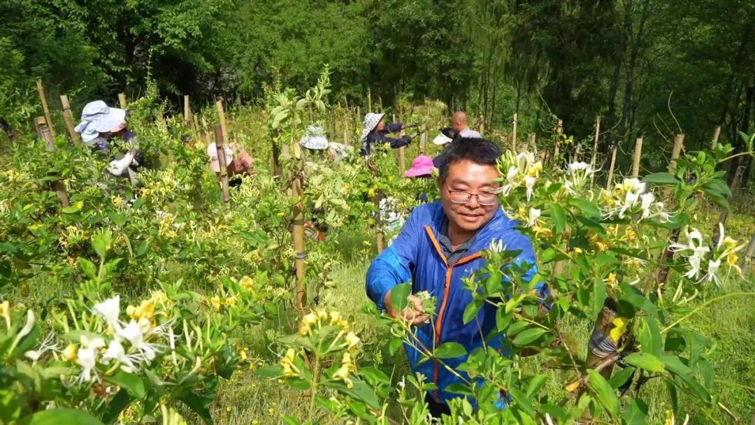 漢中這些地方，藏著令人向往的滿分初夏時光！