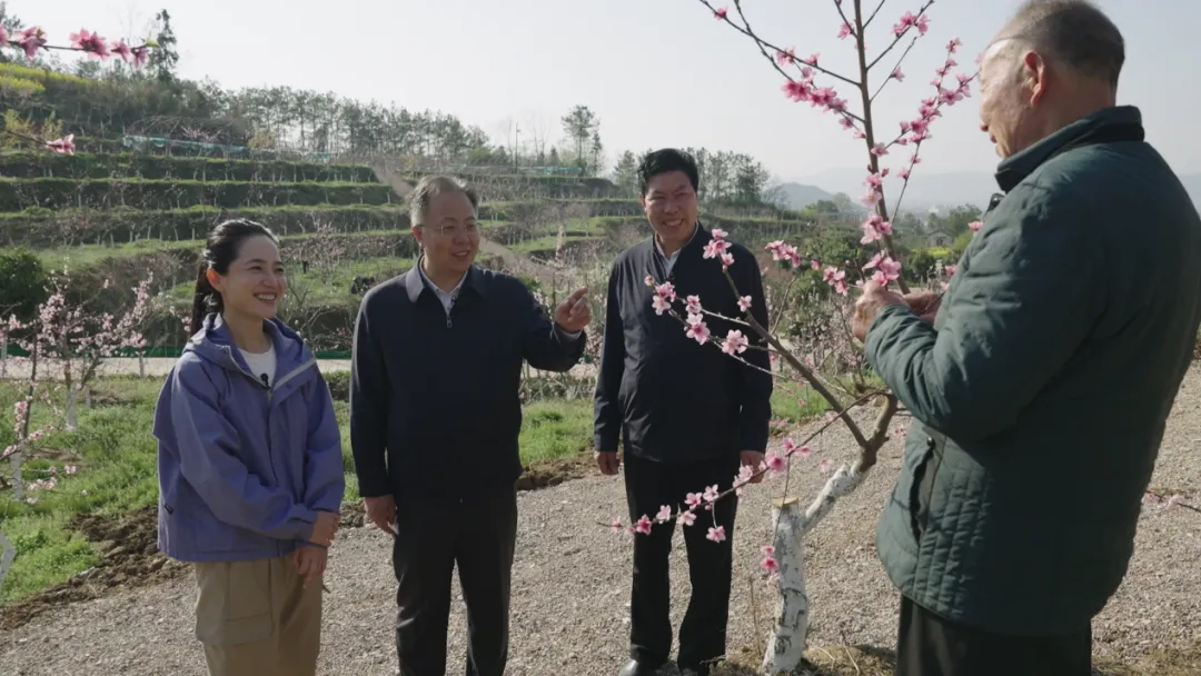 央視財經關注！看漢中如何探索鄉村振興之路→