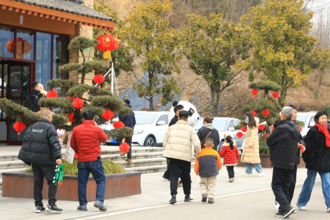 新年第一天，洋縣長青華陽景區(qū)迎來蛇年開門紅~