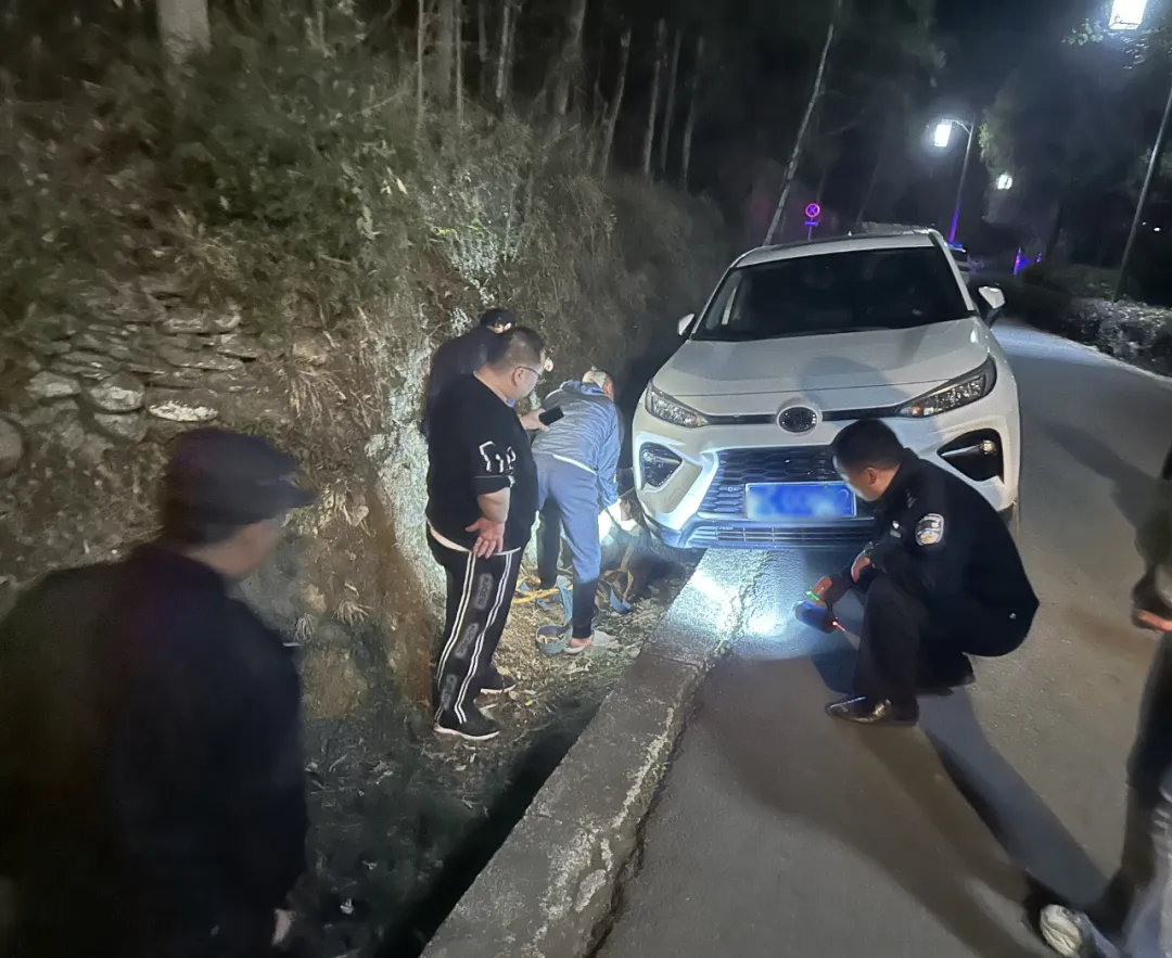 游客車陷水溝，漢中警民合力助脫困