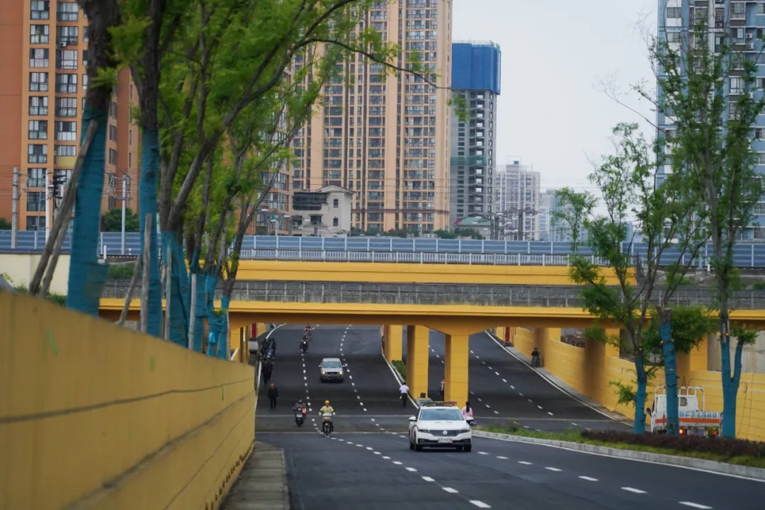 出行方便了！漢中興漢新區(qū)惠府路主車道通車！