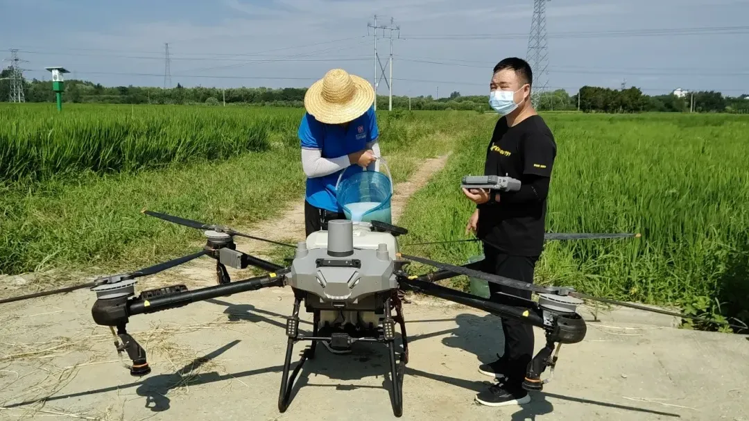 漢臺(tái)：5萬余畝稻田完成無人機(jī)“飛防”作業(yè)